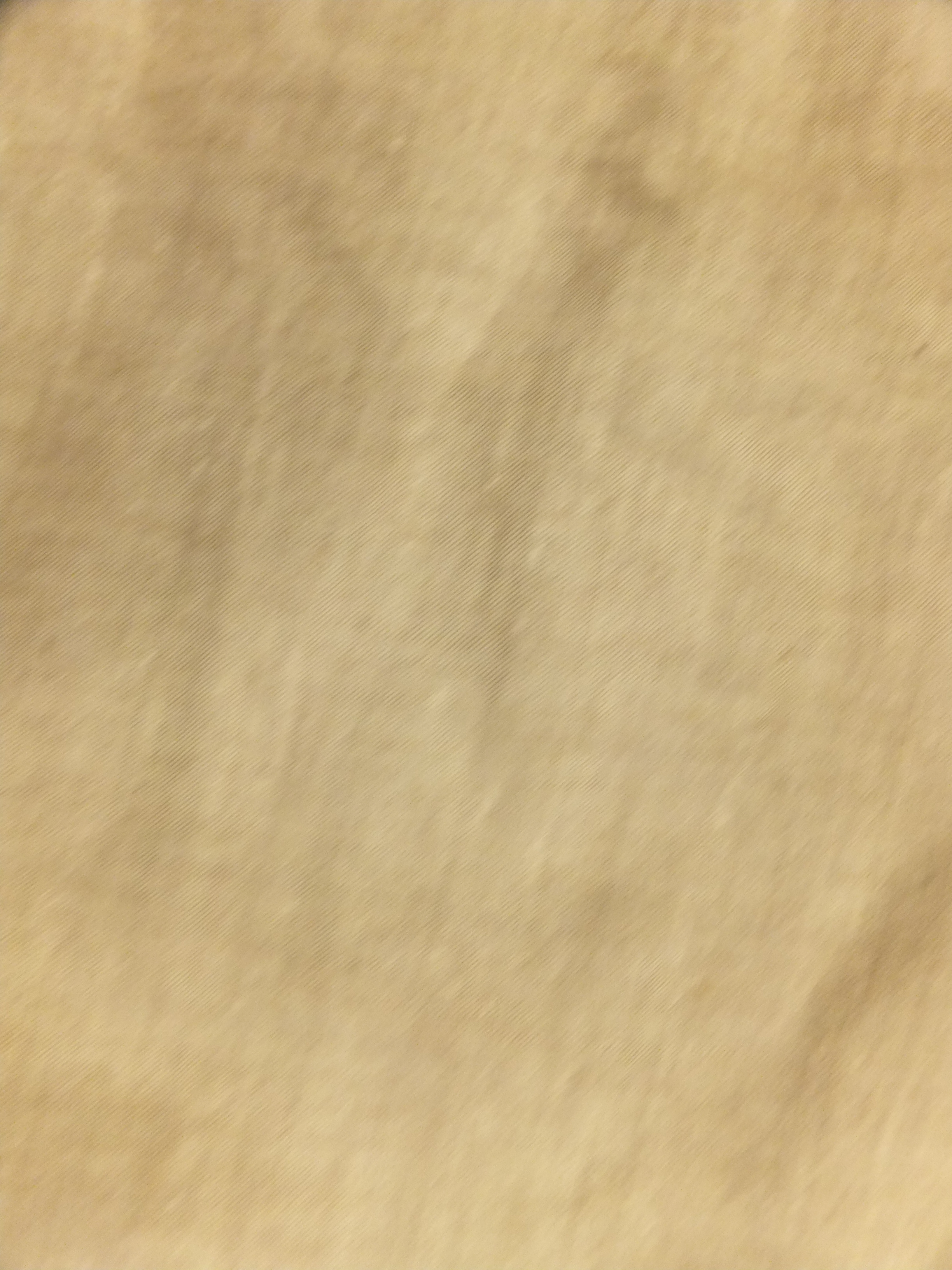 Rug image
